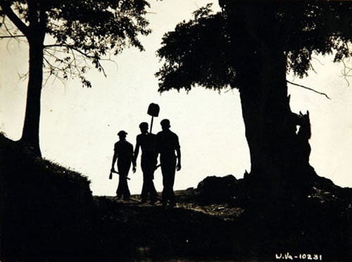 Civilian Conservation Corps Men holding shovel in hand and walking behind the trees.