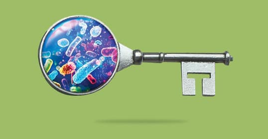 A metal key with its head replaced by a magnifying glass showing colorful bacteria, on a green background.