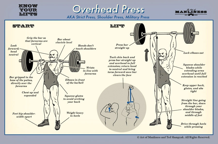 A diagram illustrating the proper technique for performing the overhead press, one of the fundamental lifts in weightlifting.